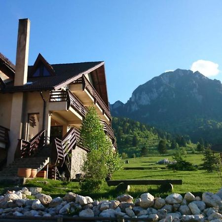 Taverna Pietrei Craiului Zărneşti Exteriör bild