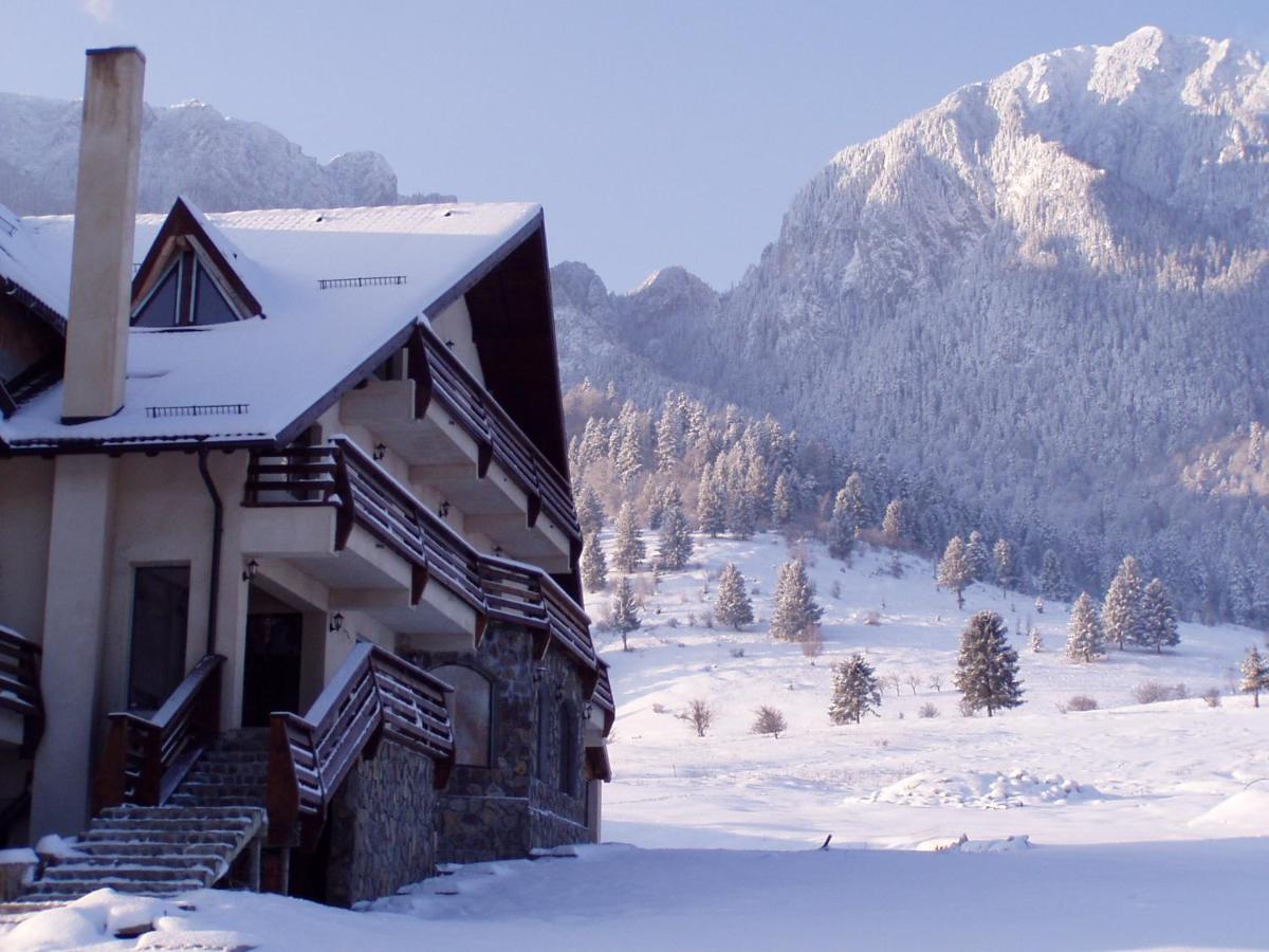 Taverna Pietrei Craiului Zărneşti Exteriör bild
