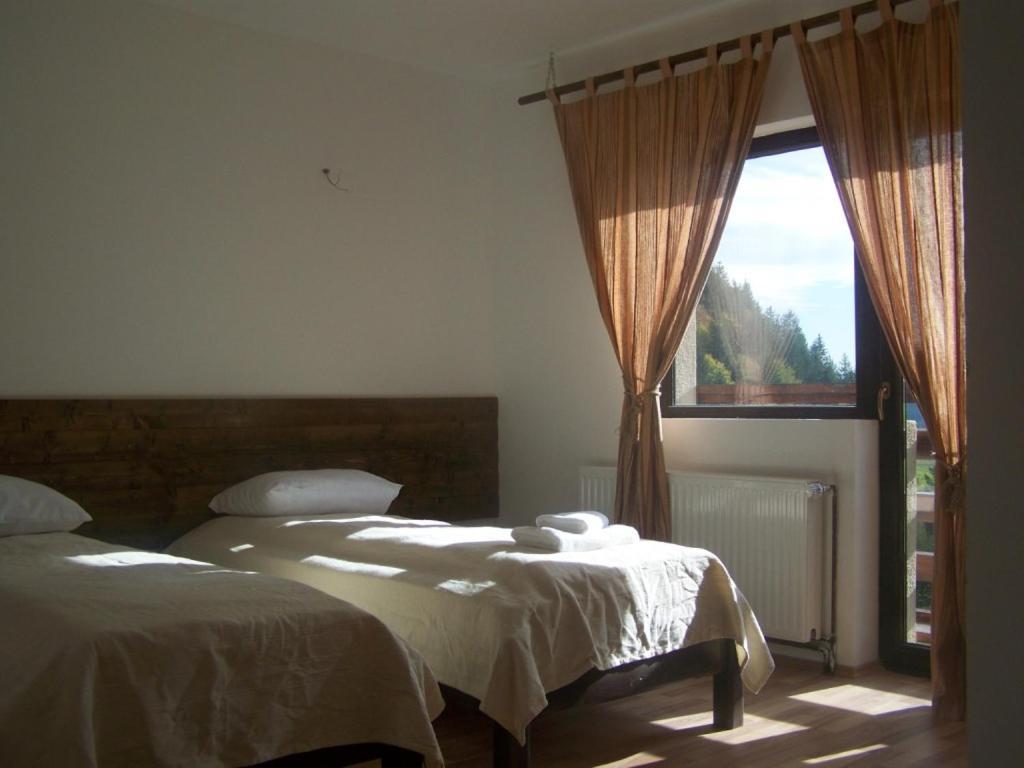 Taverna Pietrei Craiului Zărneşti Exteriör bild